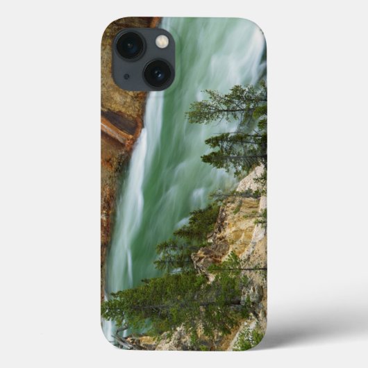 USA, Wyoming, Yellowstone National Park Case-Mate iPhone Case (Achterkant)