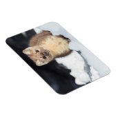 USA, Wyoming, Yellowstone National Park Magneet (Rechterzijde)