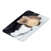 USA, Wyoming, Yellowstone National Park Magneet (Linkerzijde)