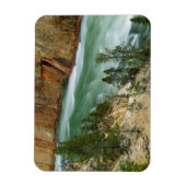 USA, Wyoming, Yellowstone National Park Magneet (Verticaal)