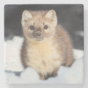 USA, Wyoming, Yellowstone National Park Stenen Onderzetter