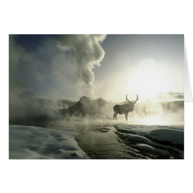 USA, Wyoming, Yellowstone National Park. Sunrise (Voorkant Horizontaal)