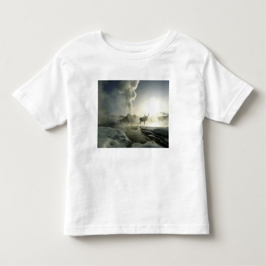 USA, Wyoming, Yellowstone National Park. Sunrise Kinder Shirts (Voorkant)