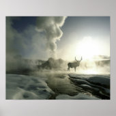 USA, Wyoming, Yellowstone National Park. Sunrise Poster (Voorkant)