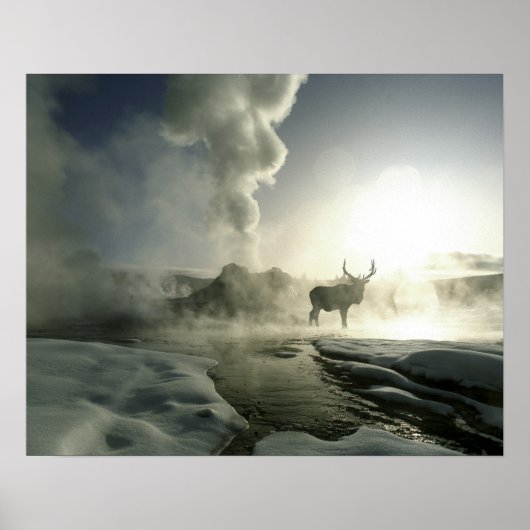USA, Wyoming, Yellowstone National Park. Sunrise Poster (Voorkant)