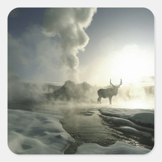 USA, Wyoming, Yellowstone National Park. Sunrise Vierkante Sticker (Voorkant)