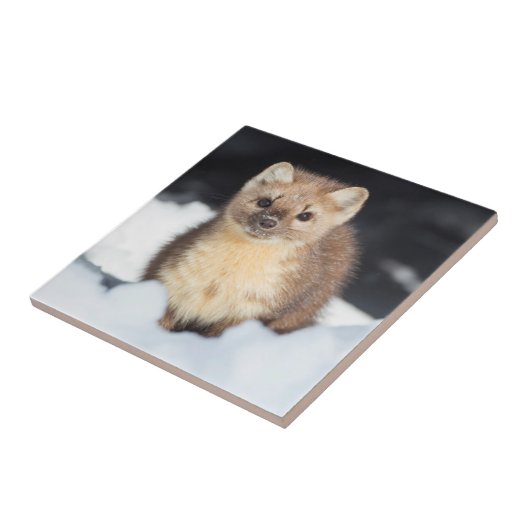 USA, Wyoming, Yellowstone National Park Tegeltje (Zijkant)