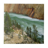 USA, Wyoming, Yellowstone National Park Tegeltje (Voorkant)