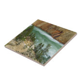 USA, Wyoming, Yellowstone National Park Tegeltje (Zijkant)