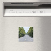 USA, Yellowstone National Park, Treelined road Magneet (Insitu (Vaatwasser))