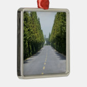 USA, Yellowstone National Park, Treelined road Metalen Ornament (Rechts)