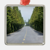 USA, Yellowstone National Park, Treelined road Metalen Ornament (Voorkant)