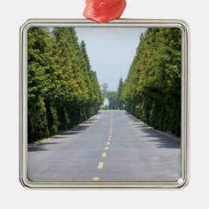 USA, Yellowstone National Park, Treelined road Metalen Ornament