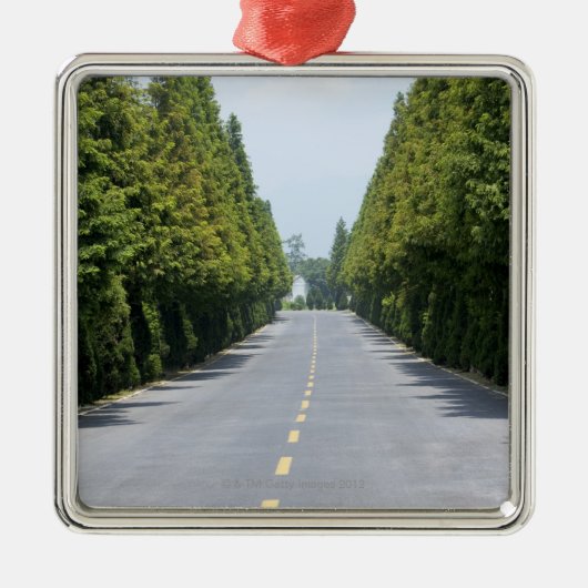 USA, Yellowstone National Park, Treelined road Metalen Ornament (Voorkant)