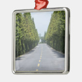 USA, Yellowstone National Park, Treelined road Metalen Ornament (Links)