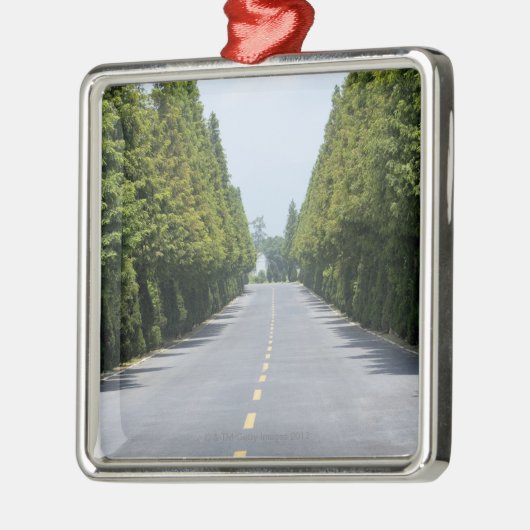 USA, Yellowstone National Park, Treelined road Metalen Ornament (Links)