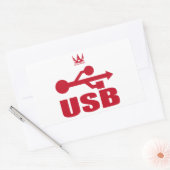 USB（赤） RECHTHOEKIGE STICKER (Envelop)