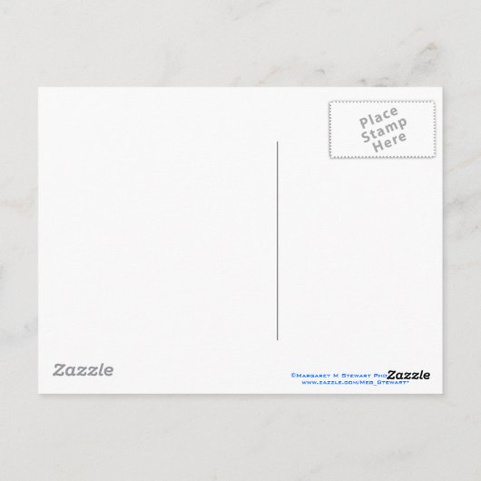 USDA Certified Beach Bum Briefkaart (Achterkant)