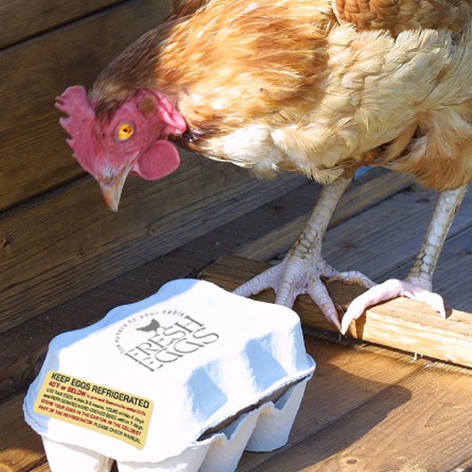 USDA Egg Carton Safety and Storage Regulations Etiket