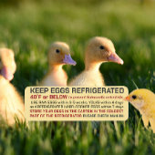 USDA Egg Carton Safety and Storage Regulations Etiket