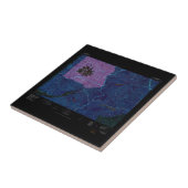 USGS Topo Map Washington State WA Mount Rainier 24 Tegeltje (Zijkant)