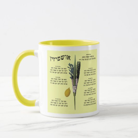 Ushpizin & Arba Minim (4 soorten) Mok (Links)