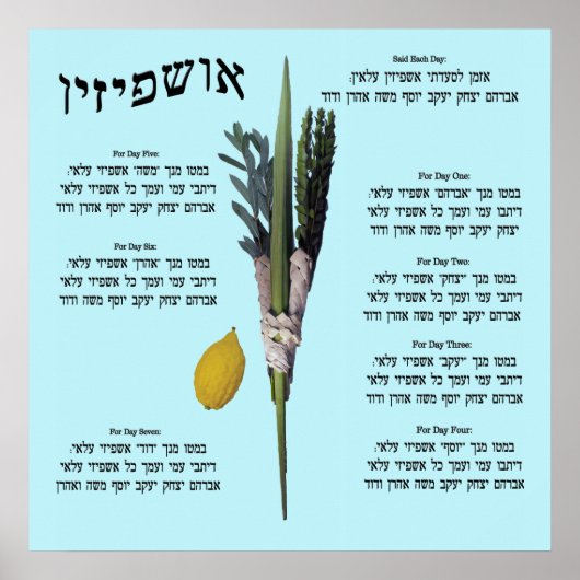 Ushpizin & Arba Minim (4 soorten) Poster (Voorkant)