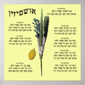 Ushpizin & Arba Minim (4 soorten) Poster (Voorkant)
