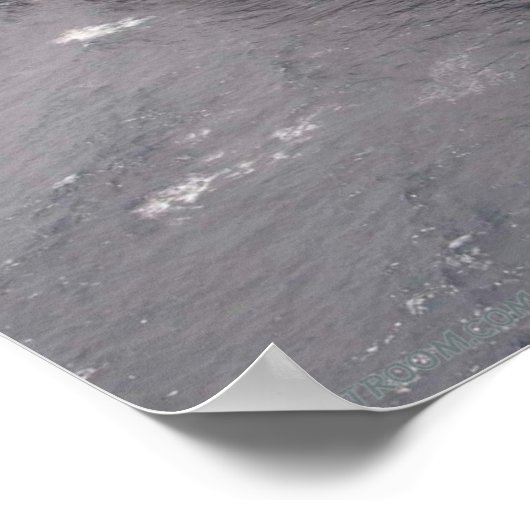 USS George Washington Poster (Hoek)