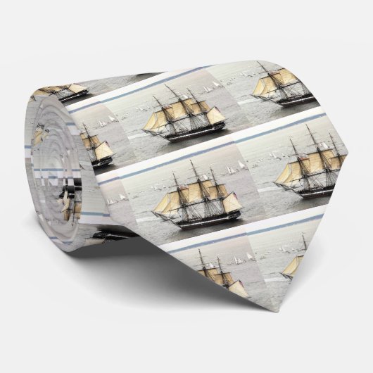 USS-grondwet, de parade van Sail Stropdas (Opgerold)