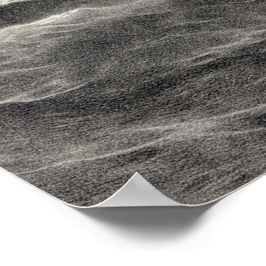 USS-grondwet Poster (Hoek)