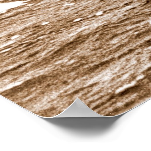 USS Hornet B-25-startposter Poster (Hoek)