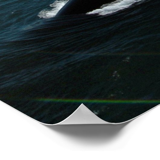 USS Topeka (SSN 754) Poster (Hoek)