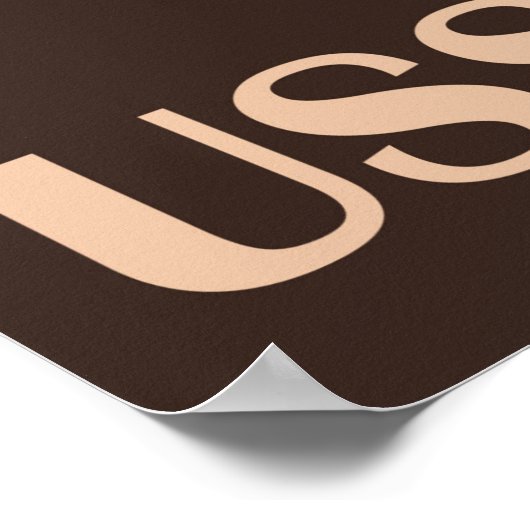 USSR-gezondheidsrapporten Poster (Hoek)