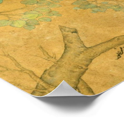 Ustad Mansur - Chameleon in een boom Poster (Hoek)