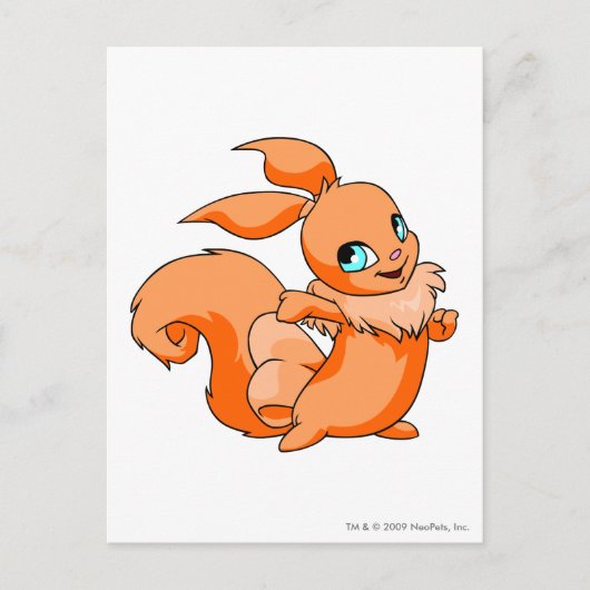 Usul Oranje Briefkaart (Voorkant)