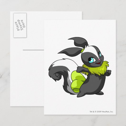 Usul Skunk Briefkaart (Voorkant / Achterkant)