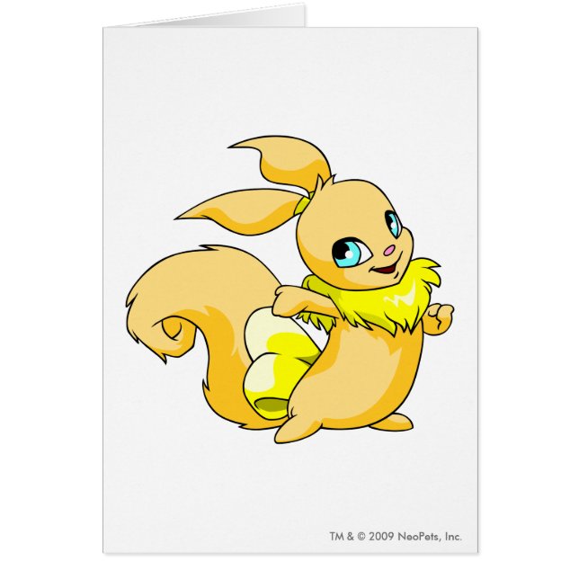 Usul Yellow (Voorkant)