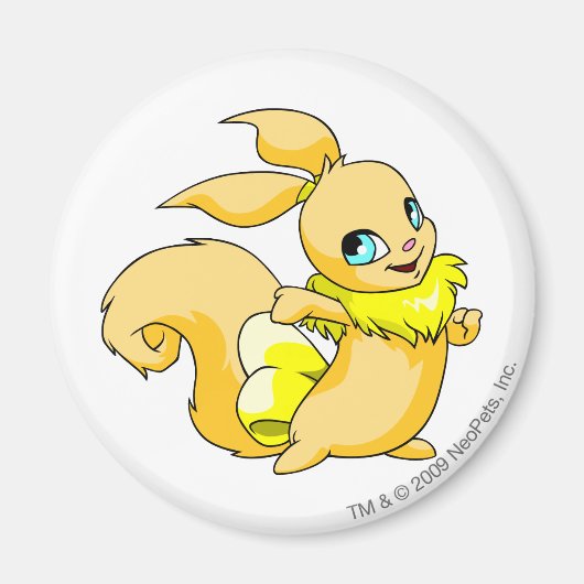 Usul Yellow Magneet (Voorkant)