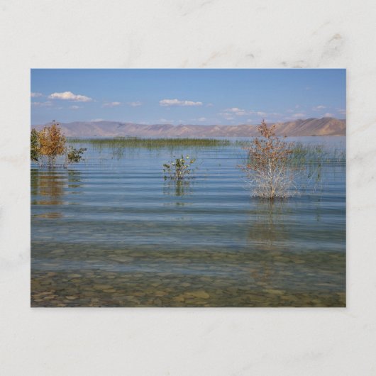 UT, Bear Lake Briefkaart (Voorkant)