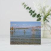 UT, Bear Lake Briefkaart (Staand voorkant)