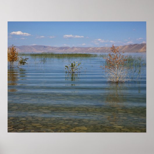 UT, Bear Lake Poster (Voorkant)