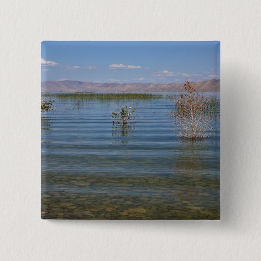 UT, Bear Lake Vierkante Button 5,1 Cm (Voorkant)