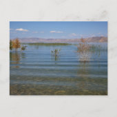 UT, Beer Lake Briefkaart (Voorkant)