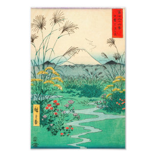 Utagawa Hiroshige - Otsuki-vlakte in de provincie Foto Afdruk