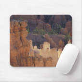 Utah, Bryce Canyon National Park. Hoodos Muismat (Met muis)