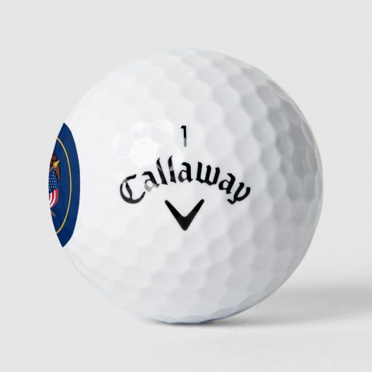 Utah De bijenkorfstaat Utahns Amerikaanse vlag Golfballen (Logo)