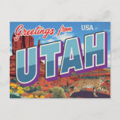 Utah Desert Bobcat Monument Valley Briefkaart (Voorkant)