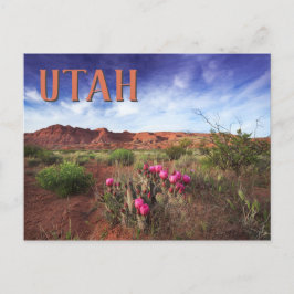 Utah Desert Spring Cactus Briefkaart