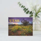 Utah Desert Wildbloemen Briefkaart (Staand voorkant)